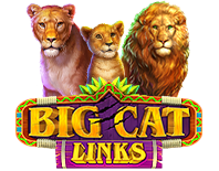 Big Cat Links
